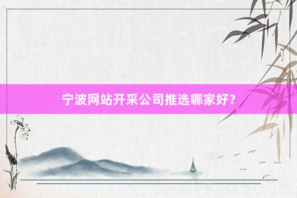 宁波网站开采公司推选哪家好？